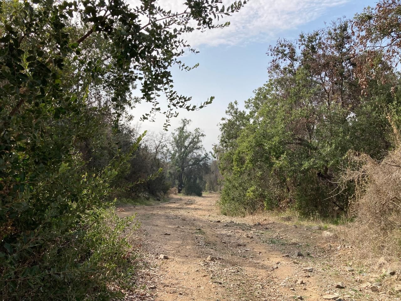 Parcela 27 · Alto Laguna