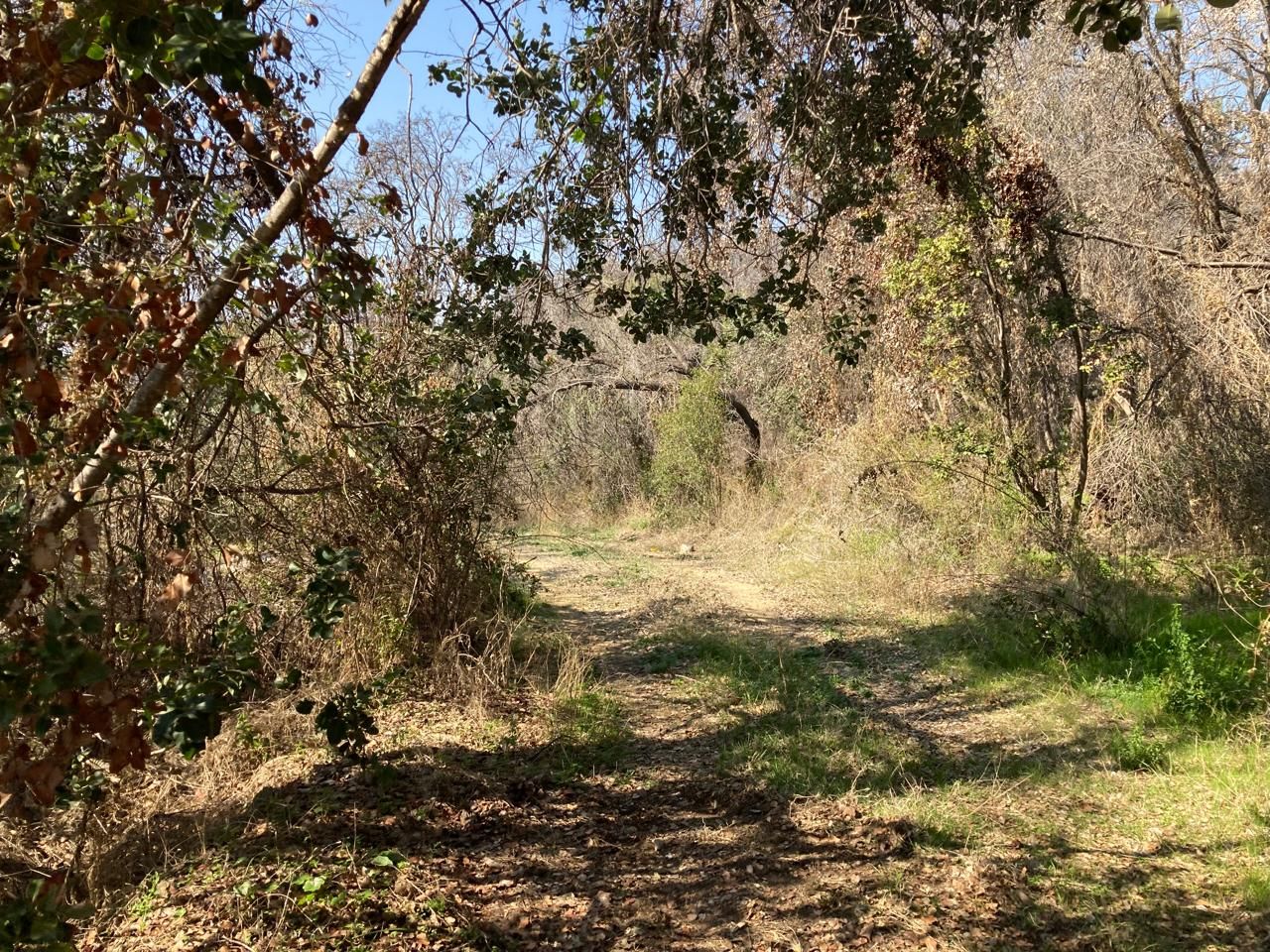 Parcela 27 · Alto Laguna, foto 3