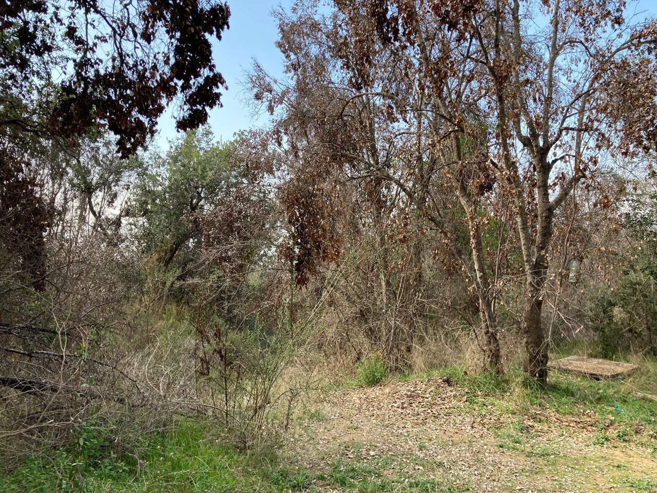 Parcela 27 · Alto Laguna, foto 4
